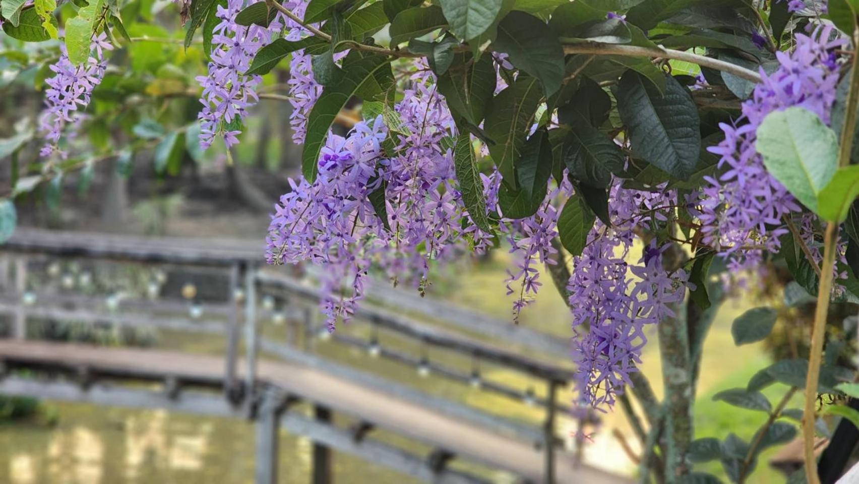 Baan Klong Resort Damnoen Saduak Ngoại thất bức ảnh